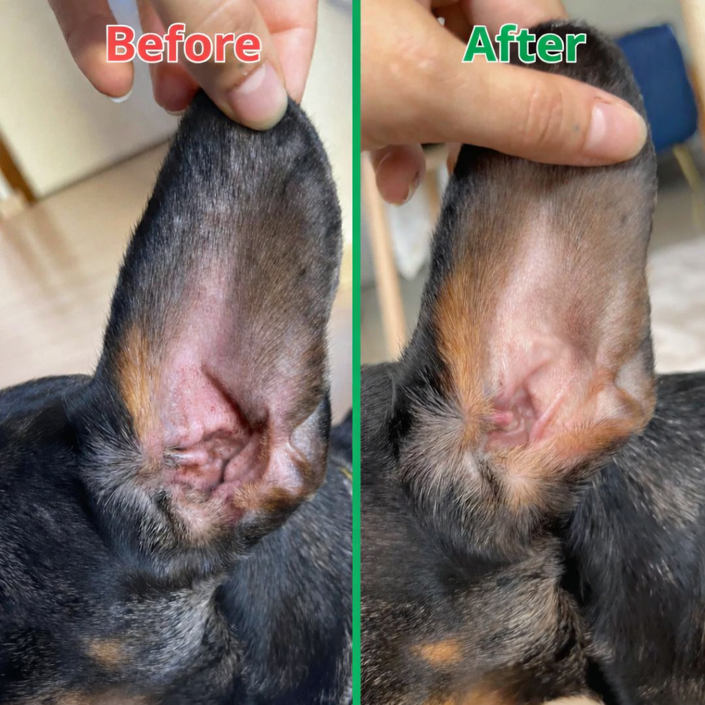 Itch Relief Probiotics