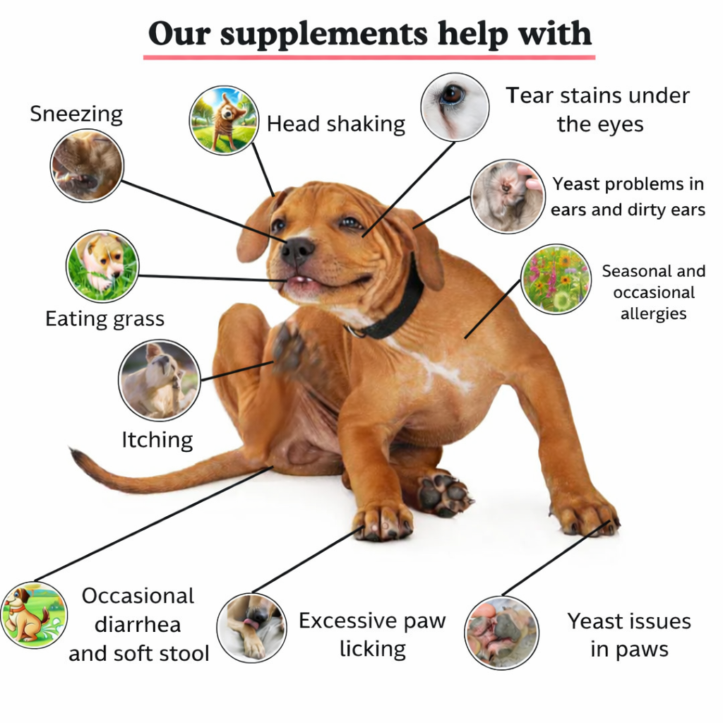 Itch Relief Probiotics